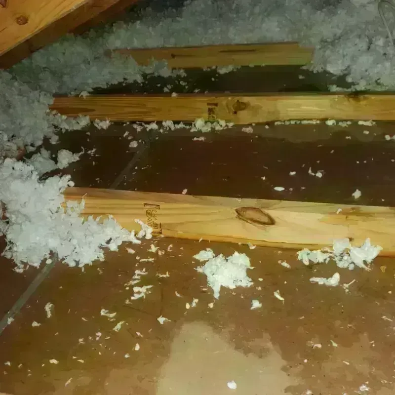 Attic Water Damage in West Des Moines, IA