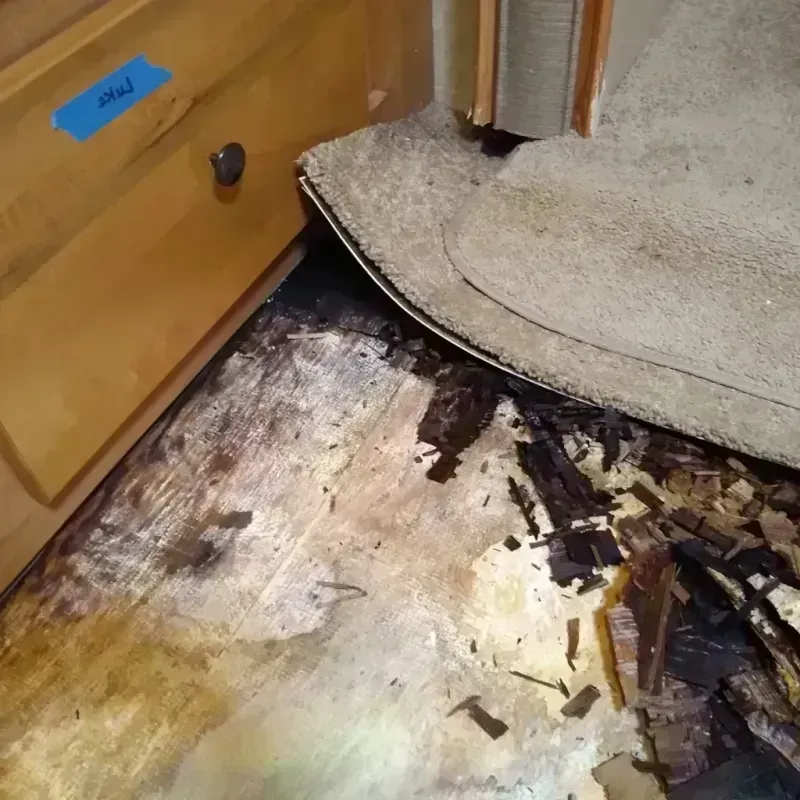 Best Wood Floor Water Damage Service in West Des Moines, IA